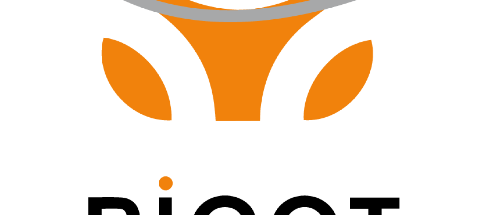 OFFICIAL PICOT USA logo onwhite